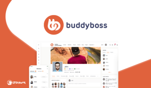 「BuddyBoss」を使った事例