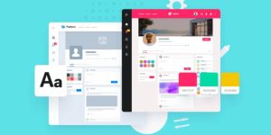 BuddyBoss Customization