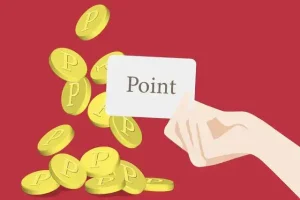 会員サイトにポイントシステムを導入、そしてさらに現金化する